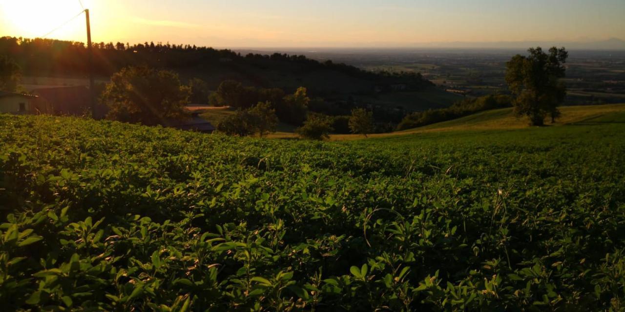 Agriturismo Agronauta Βίλα Piozzano Εξωτερικό φωτογραφία